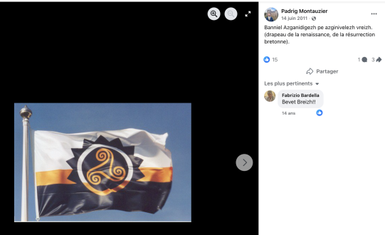 Drapeau de son parti, l'Adsav